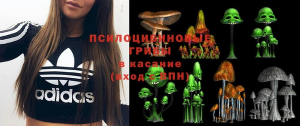 spice Покров
