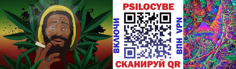 МЕГА ONION  Котельнич  площадка состав  Псилоцибиновые грибы прущие грибы 